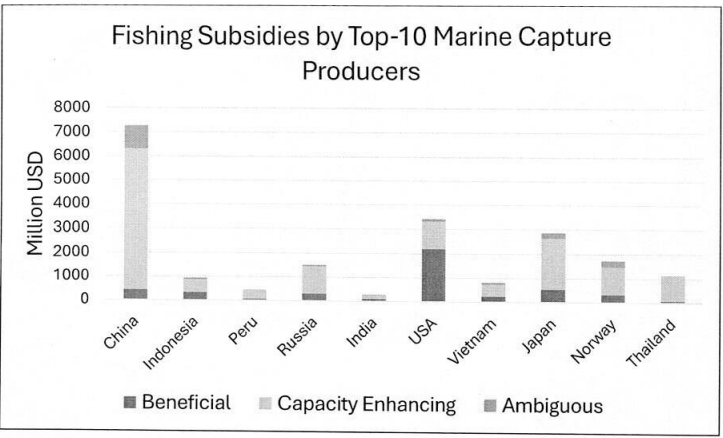 Fishing Subsidies by Top-10 Marine Capture Producing Countries