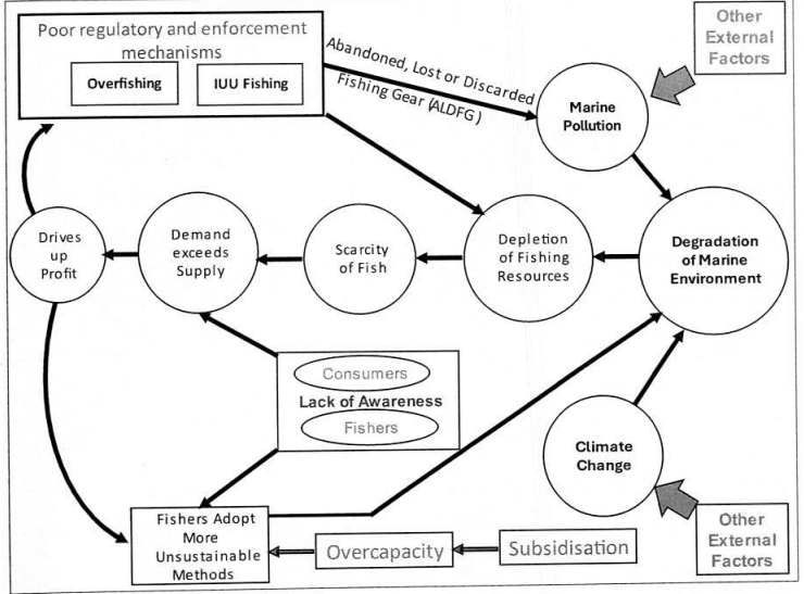 The Vicious Cycle of Depletion of Fisheries Resources